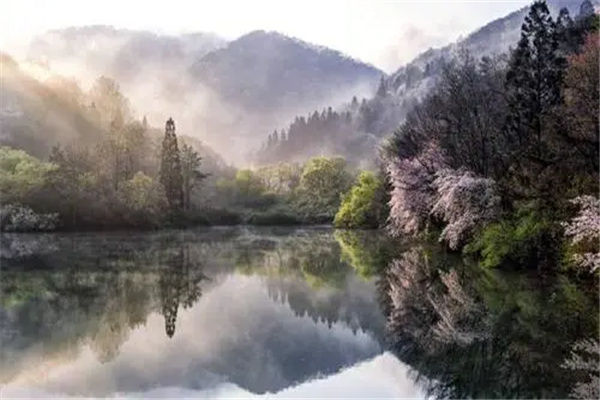 清风明月本无价近水远山皆有情的意思 出自哪里谁写的