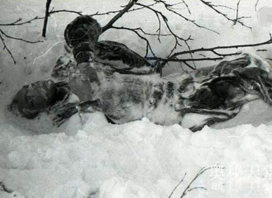 1959年迪亚特洛夫登山队遭遇了什么 dyatlov事件未解之谜