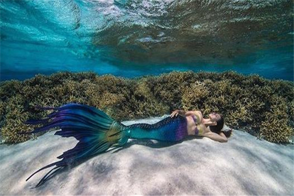 ��������ʲô���� ����������ʵ����ʲô����