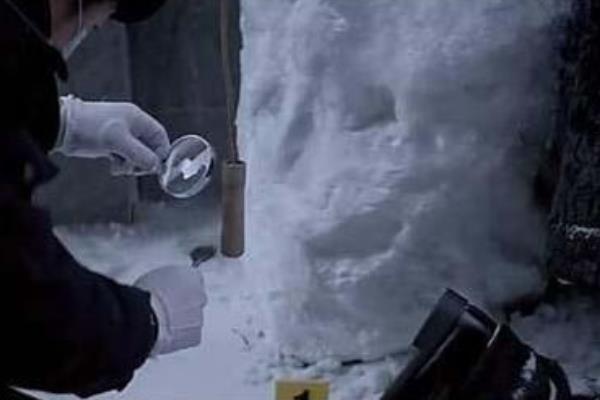 肢体雪人的真实案例破案了吗 齐齐哈尔医学院肢体雪人案原始案件