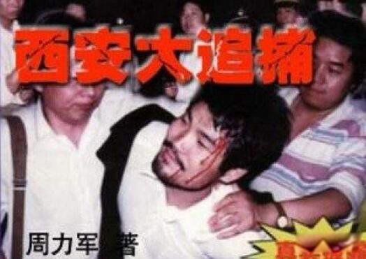 十大悍匪纪实档案全集 十大真实案件改编的电视剧
