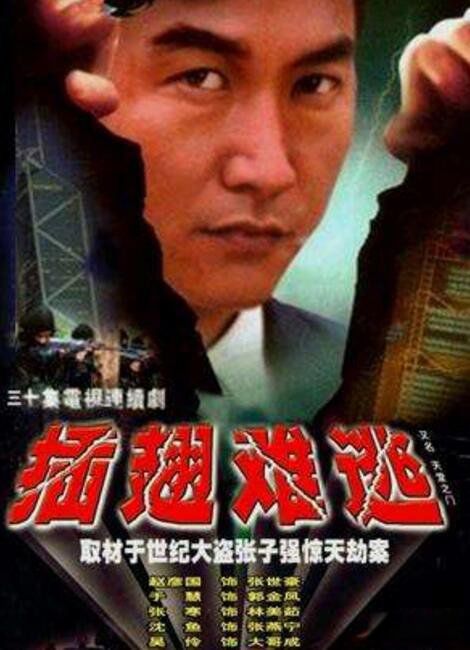 十大悍匪纪实档案全集 十大真实案件改编的电视剧