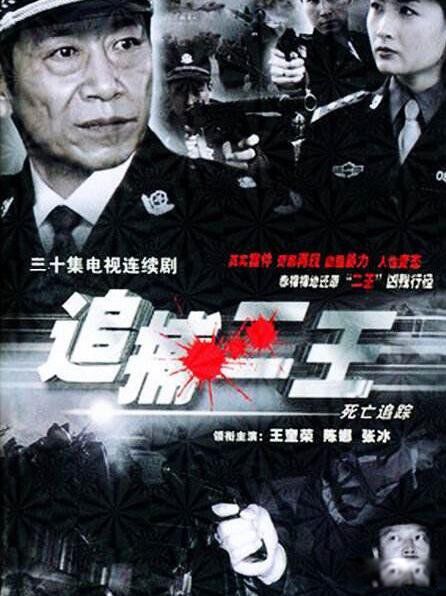 十大悍匪纪实档案全集 十大真实案件改编的电视剧