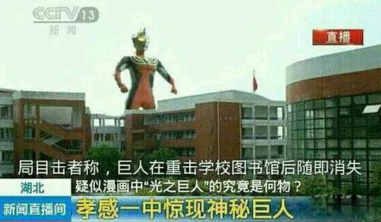 �����ĵ�������������� ��վ��ֲ������