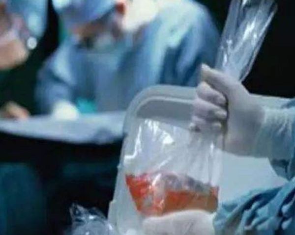 英国夫妇埃及身亡事件真相 死后遗体怎么了