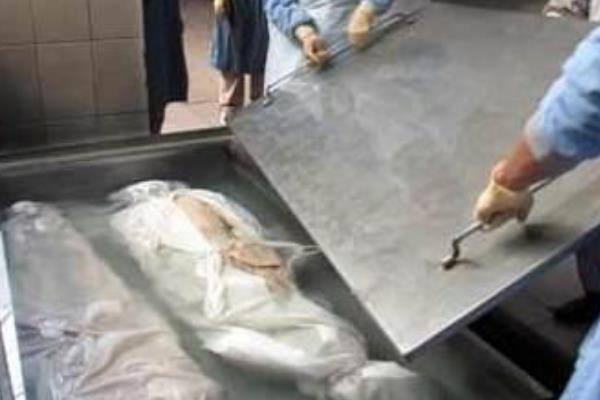 尸绿是什么怎么形成的 首先出现的时间最先出现的部位是哪里