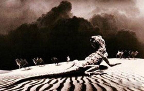 ޲ʳ ˰Ĵ