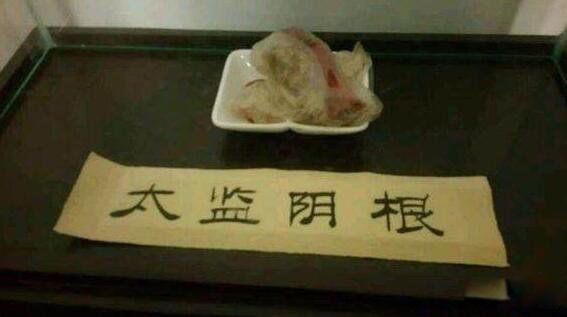 ̫�ྻ���Ǹ��ʲô Ϊʲô̫��Ҫ����ͼƬ