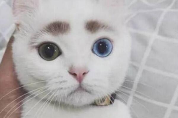 阴阳眼现实中存在吗 阴阳眼的人讲的真实经历