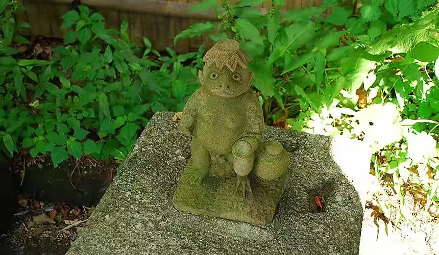 有人拍到了真的河童 四川河童目击照片