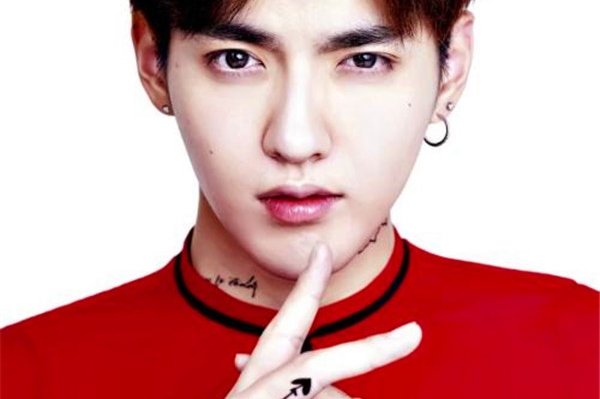 吴亦凡纹身图案含义 吴亦凡把心中的想法都写在身上