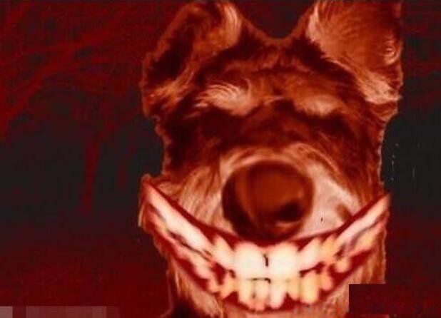 ΢Ц��ͼƬԭͼ�ֲ� һ�ſֲ��Ĺ�������������΢Ц