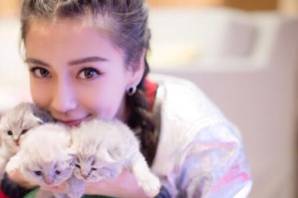 angelababy�߹��� ���������ԭ����ô����