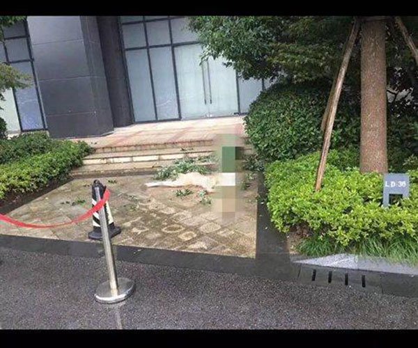 任娇是怎么掉下去的 坠楼未打码图疑团重重
