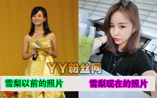 雪梨真实姓名和王思聪什么关系 雪梨Cherie朱宸惠整容对比照