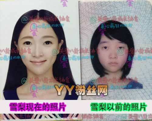 雪梨真实姓名和王思聪什么关系 雪梨Cherie朱宸惠整容对比照
