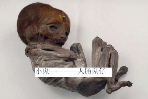 养小鬼反噬什么意思 小鬼是因为泰国不允许杀生