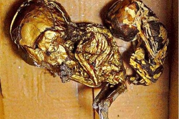 养小鬼反噬什么意思 小鬼是因为泰国不允许杀生