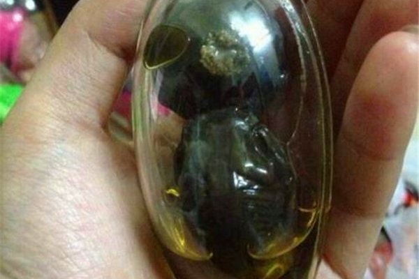 养小鬼反噬什么意思 小鬼是因为泰国不允许杀生