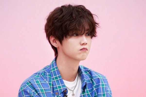 陈数是鹿晗的亲娘吗 陈数跟鹿晗是什么关系