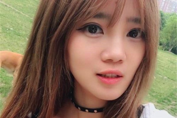 ����ѩ�������ϼ�������� ����ְҵѡ��������������