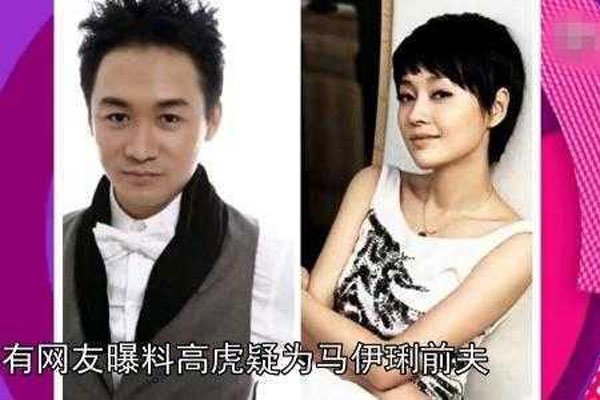 高虎马伊琍为什么离婚 愿意给文章一个机会怎么不给高虎机会