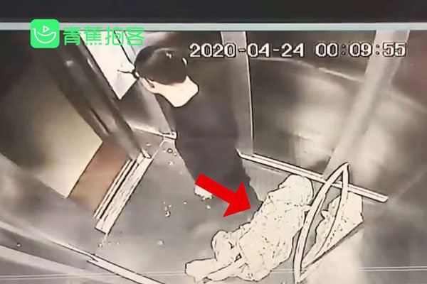 捡尸是什么意思啊犯法吗 女子醉酒被陌生男子捡走案例