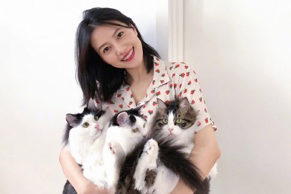 高圆圆生宝宝了吗 婚后数度被传不能生女明星真不容易