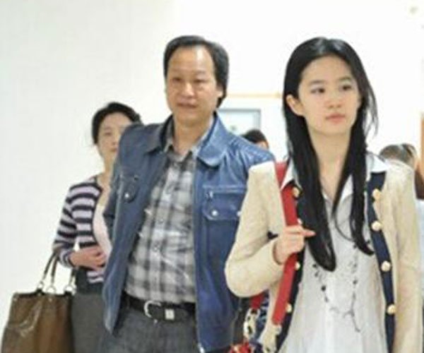 陈金飞与刘晓莉什么关系 陈金飞和刘亦菲什么关系