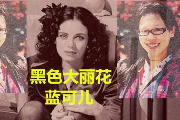 张家豪打刘德华图片 没交集怎么可能打起来