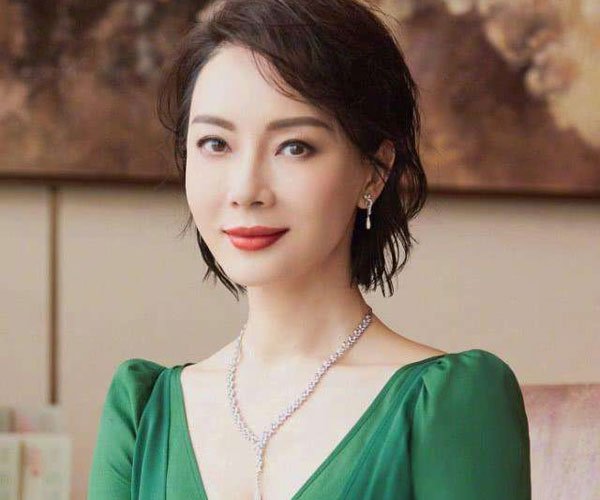 陈数为什么不能生育 把赵胤胤的孩子当成自己的孩子