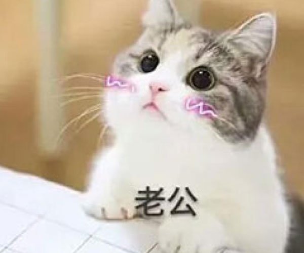微信老公备注洋气点的 孩子她爸这些独特昵称都太有爱了
