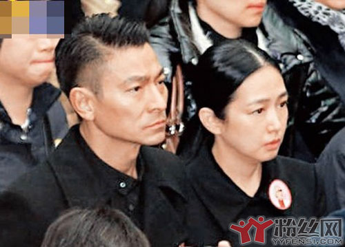 刘德华为什么娶朱丽倩 要是没有那个显赫的身家刘德华能看上她吗