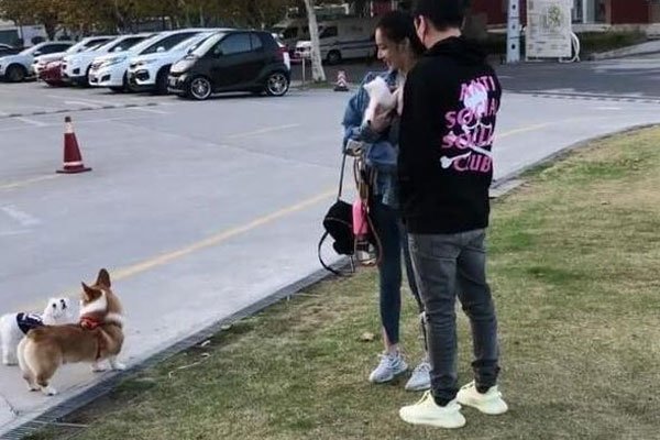 王思聪陈雅婷情侣装出游 能贴上王思聪前女友这个标签就已经赢了