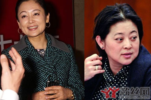 陈凯歌倪萍和陈红的故事 把两个中国女人摧残的目不忍睹