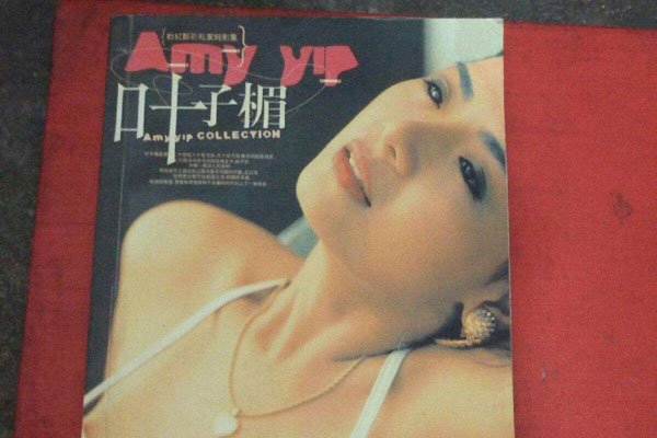 叶子楣露点了吗 演过三级片但很有底线