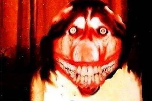 什么是微笑狗事件 传说微笑狗原图图片非常的恐怖