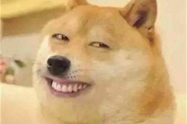 什么是微笑狗事件 传说微笑狗原图图片非常的恐怖