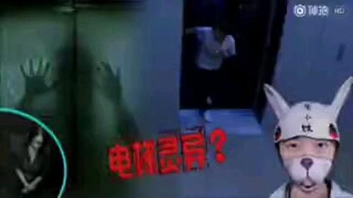 兔小妹发生了什么 网红兔小妹事件的来龙去脉