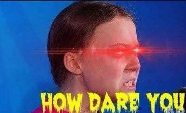 how dare you什么意思中文 瑞典环保公主,该减减你的碳排放了(表情真凶)