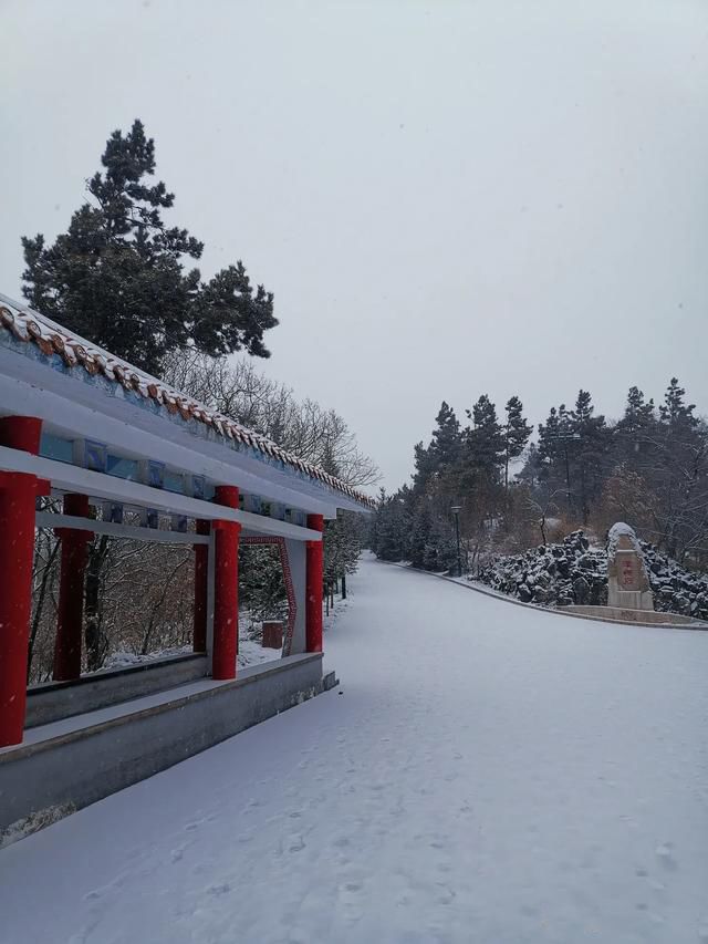 ������ѡ�Ķ�����ô��ô���� �����һ�������ö���Ǯ