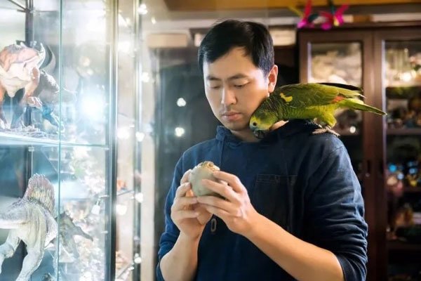 王昱珩和陈冉冉结婚了吗 离婚后王昱珩现任妻子介绍