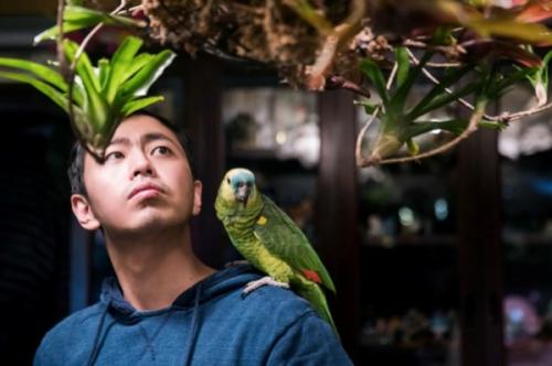 日本人评价王昱珩 最强大脑王王昱珩世界排名第几