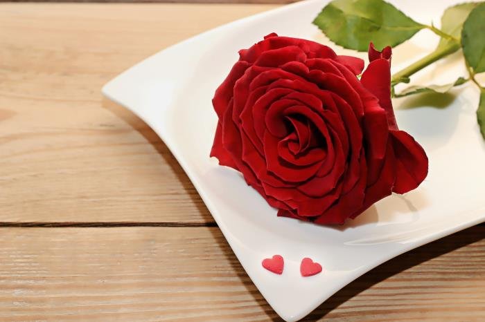 ������ӦԽǿ����Խ�� Ů���������˵���������