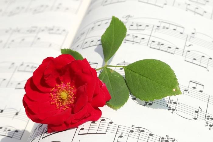 ������ӦԽǿ����Խ�� Ů���������˵���������