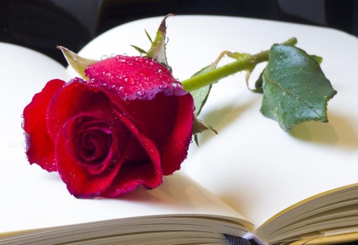 ������ӦԽǿ����Խ�� Ů���������˵���������