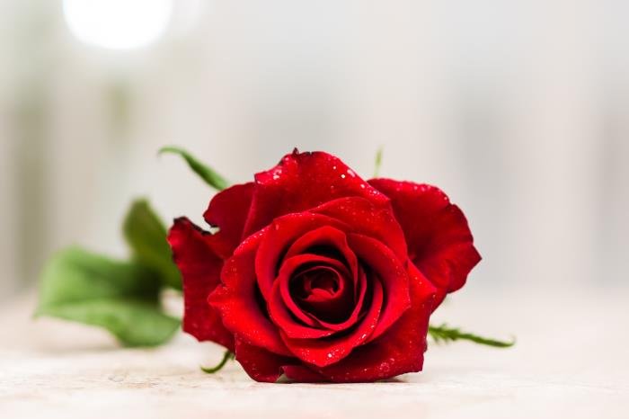 ������ӦԽǿ����Խ�� Ů���������˵���������