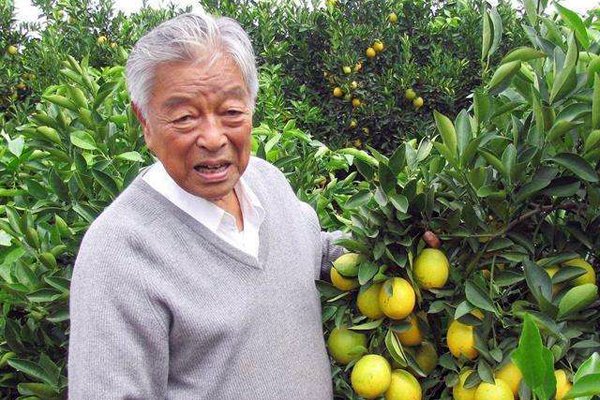 褚时健因为什么进去的 中国烟草大王褚时健是谁弄进去的