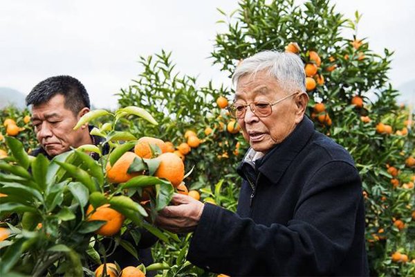 褚时健因为什么进去的 中国烟草大王褚时健是谁弄进去的