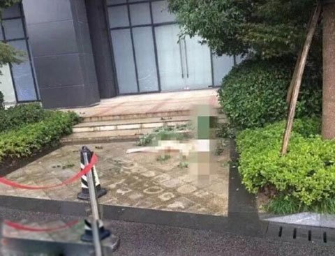 任娇在苏州的什么酒店掉下来的图片 杨旭文和任娇发生了什么掉下去的